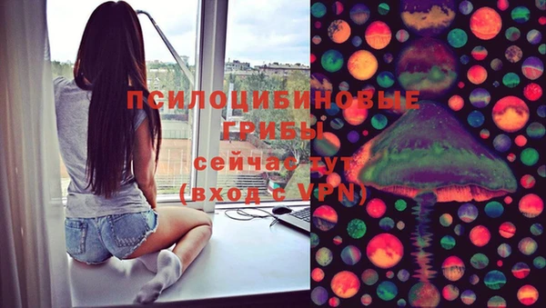 ПСИЛОЦИБИНОВЫЕ ГРИБЫ Армянск