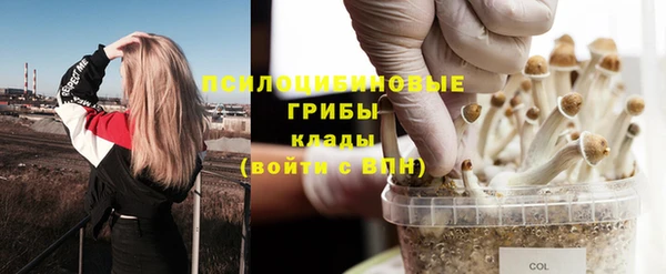 ПСИЛОЦИБИНОВЫЕ ГРИБЫ Армянск