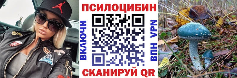 купить наркотик  Бобров  shop телеграм  Галлюциногенные грибы GOLDEN TEACHER  kraken как войти 