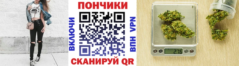 где можно купить   Бобров  Бошки марихуана ГИДРОПОН 